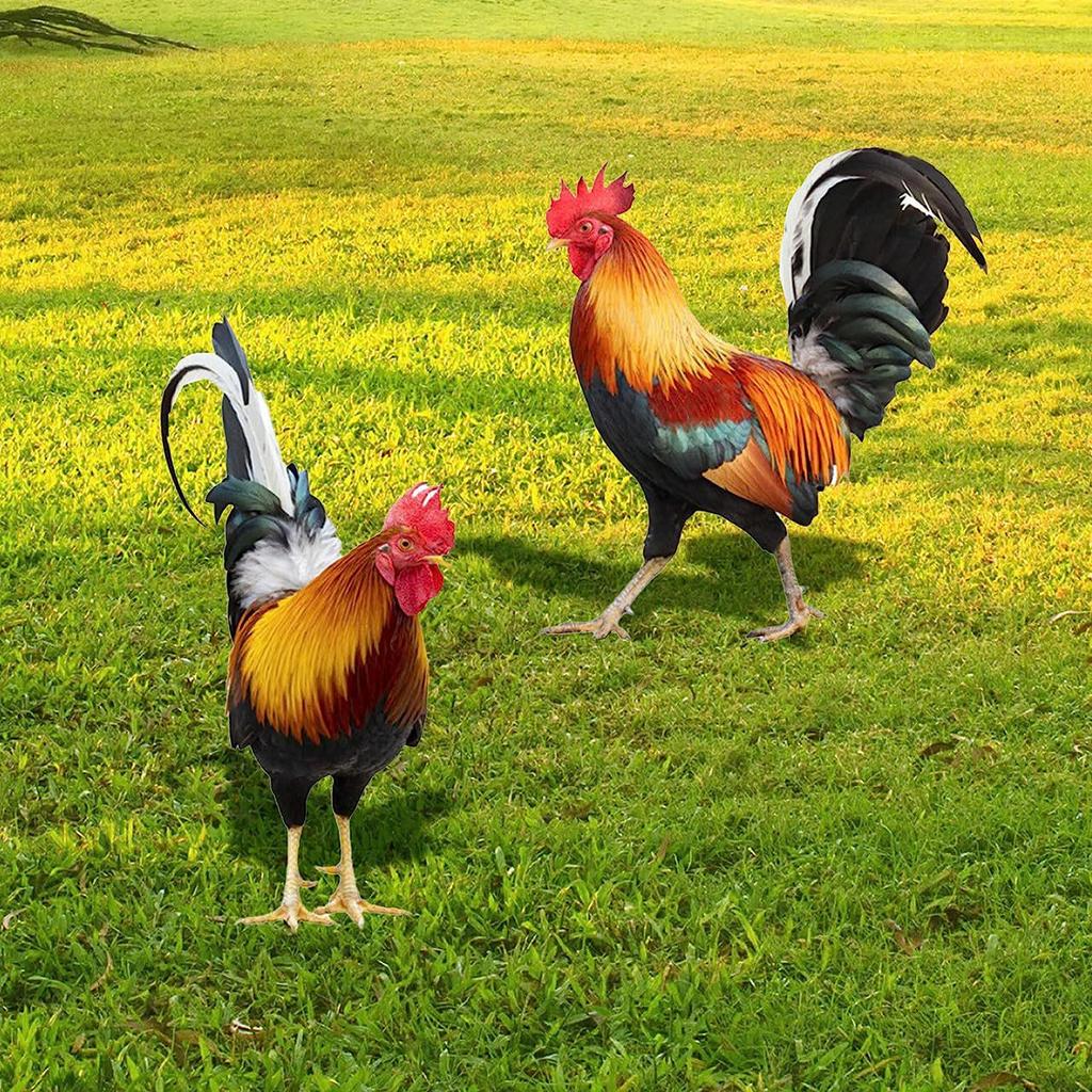 3D Rooster Acrylic Mirror Yard Art: Creative Outdoor Garden Decoration