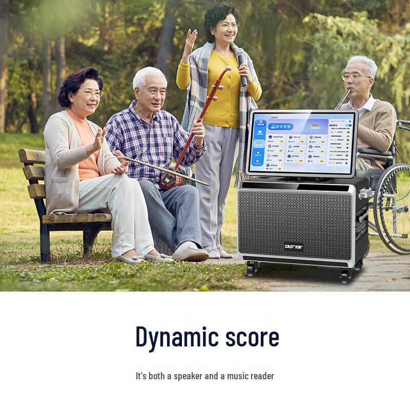 SAST Portable KTV Speaker System with Display CN Plug (adapter Included)
