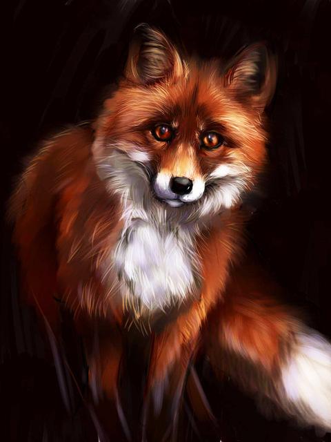 5D Diy Diamond Painting Fox Square/Round Diamond Embroidery Animal Cross Stitch Kit Rhinestone Mosaic Home Decoration