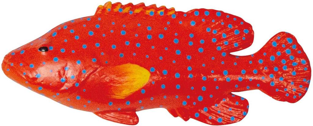 3D Illustrated Guide To Okinawa's Ocean