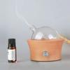 20ML Drewniany szklany dyfuzor aromaterapeutyczny czysty olejek eteryczny bezwodny dyfuzor zapachowy nebulizator powietrza nawilżacz powietrza do użytku domowego