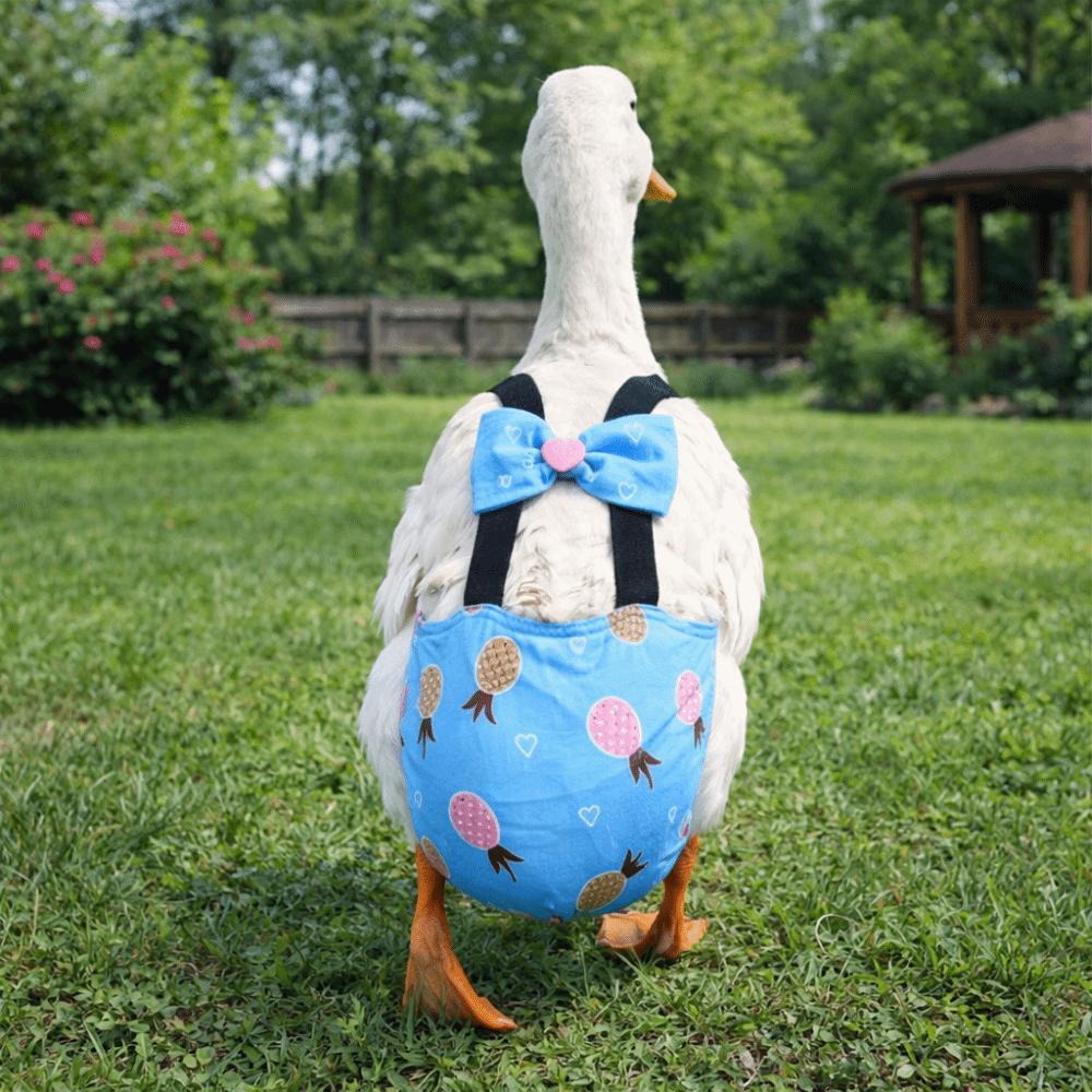 Elastisches Band Hühner Physiologische Hosen Schleifendesign Geflügelkostüm Niedliche Enten Windeln Bauernhof Haustier