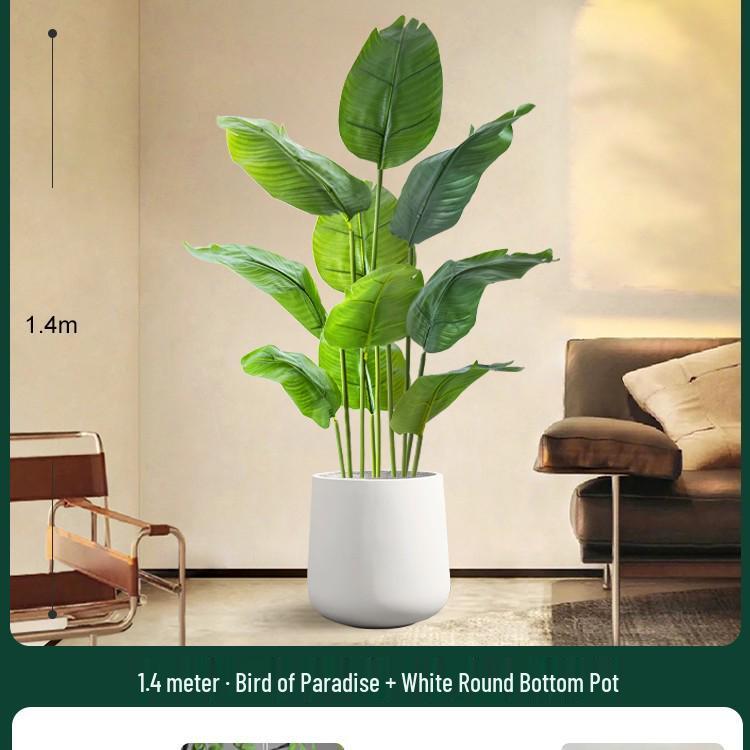 High-End Indoor Bird of Paradise Decor: Luxury Potted Traveler's Palm