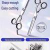 Professional Hairdressing Scissors Set: Thinning Shears, Flat Shears, Texturizing Shears for Kids and Adults