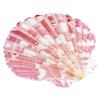 Handmade Decorative Seashells & Starfish for Fish Tanks: Landscaping, Painting, Specimens, Whelks, Hermit Crabs
