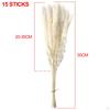 Dried Grass Bunch Bouquet Phragmites Reed Crafts Boho for Decoration Gift Birthday