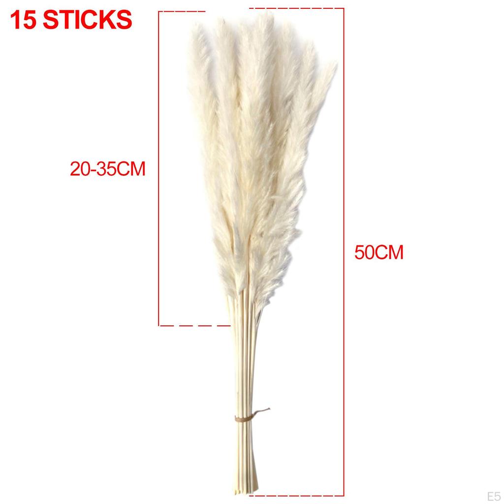 Dried Grass Bunch Bouquet Phragmites Reed Crafts Boho for Decoration Gift Birthday