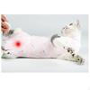 Cat Recovery Suit Clothes Pajamas Professional Soft for Skin Post Surgery Pet Cats Kittens
