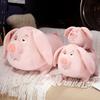 Cartoon Taiyi Real-life Mount Flying Pig Doll Long-eared Pig Plush Toy Piggy Pillow Fat Piglet Doll