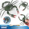 Children's Cognitive Marine Animal Model - Blue Crab Swimming Toy Ornament