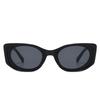 JYL TS Small Cat Eye Sunglasses  Style UV Protection For Women M5353