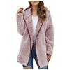 Autumn and Winter Casual Solid Colour Lapel Hooded Long-sleeved Women Plush Sweater Fleece Jacket