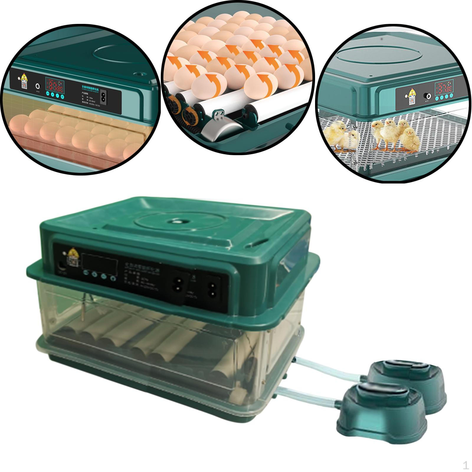 

Инкубатор на 15 яиц, автоматический интеллектуальный бытовой инкубатор для гусей, двойной источник питания