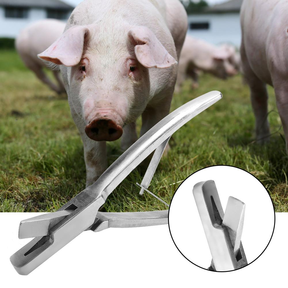 Pinza para Marcaje de Oreja de Cerdo de Acero Inoxidable Equipo para Cerdos Animales de Granja (Forma de V)