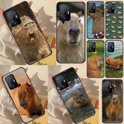 Fundas para móviles – Parachoques para smartphones