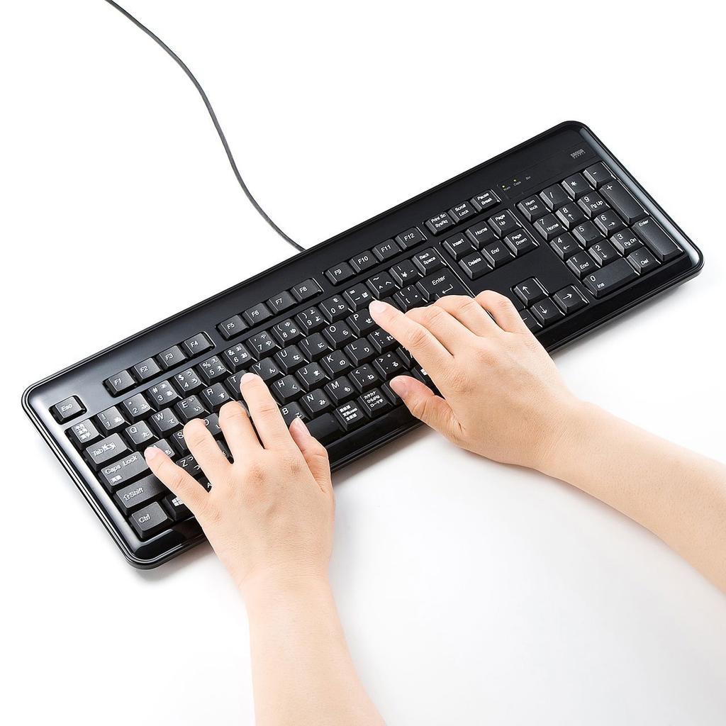 Sanwa Supply Keyboard with USB Thin Numeric USB 2 Black Hub, Membrane, Keypad, Ports, SKB-SL21UHBK