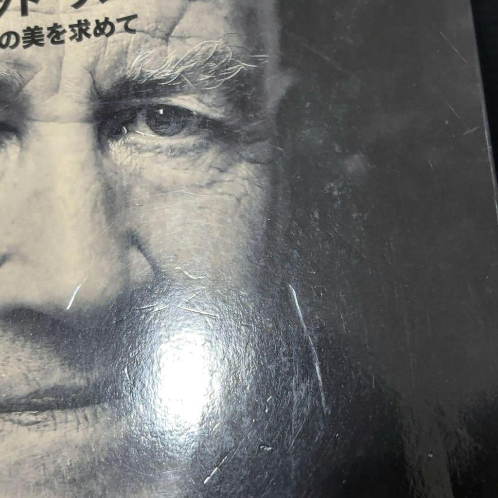 [USED] David Lynch: In Search of the Beauty of Delusion and Chaos