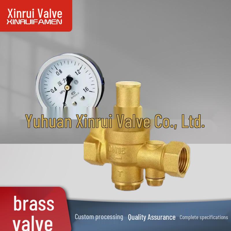 Adjustable Brass Pressure Reducing Valve with Filter & Anti-Leak Relief for Tap Water