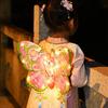 Butterfly Lantern DIY Traditional Handheld Chinese Lantern for Chinese New Year Spring Festival Mid-Autumn Festival Decoration
