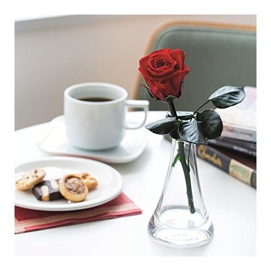 Flor Ever Preserved Flower Short Stem Rose Cherry Red Approx. Flower Diameter 3.5~5 x L20cm FL000072-005