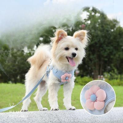 Puppy Leash, Dog Vest, Small Puppy Teddy, Bichon Frise, Bichon Frise Harness Chain, Going Out for A Dog Walk