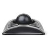 Kensington year warranty 64325A [Genuine product/5 included] ExpertMouse(OpticalBlack)
