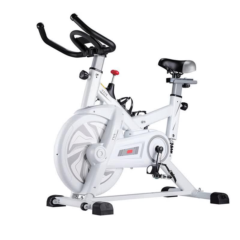 TLXT Home Fitness Spinning Bike CN plug (adapter included)