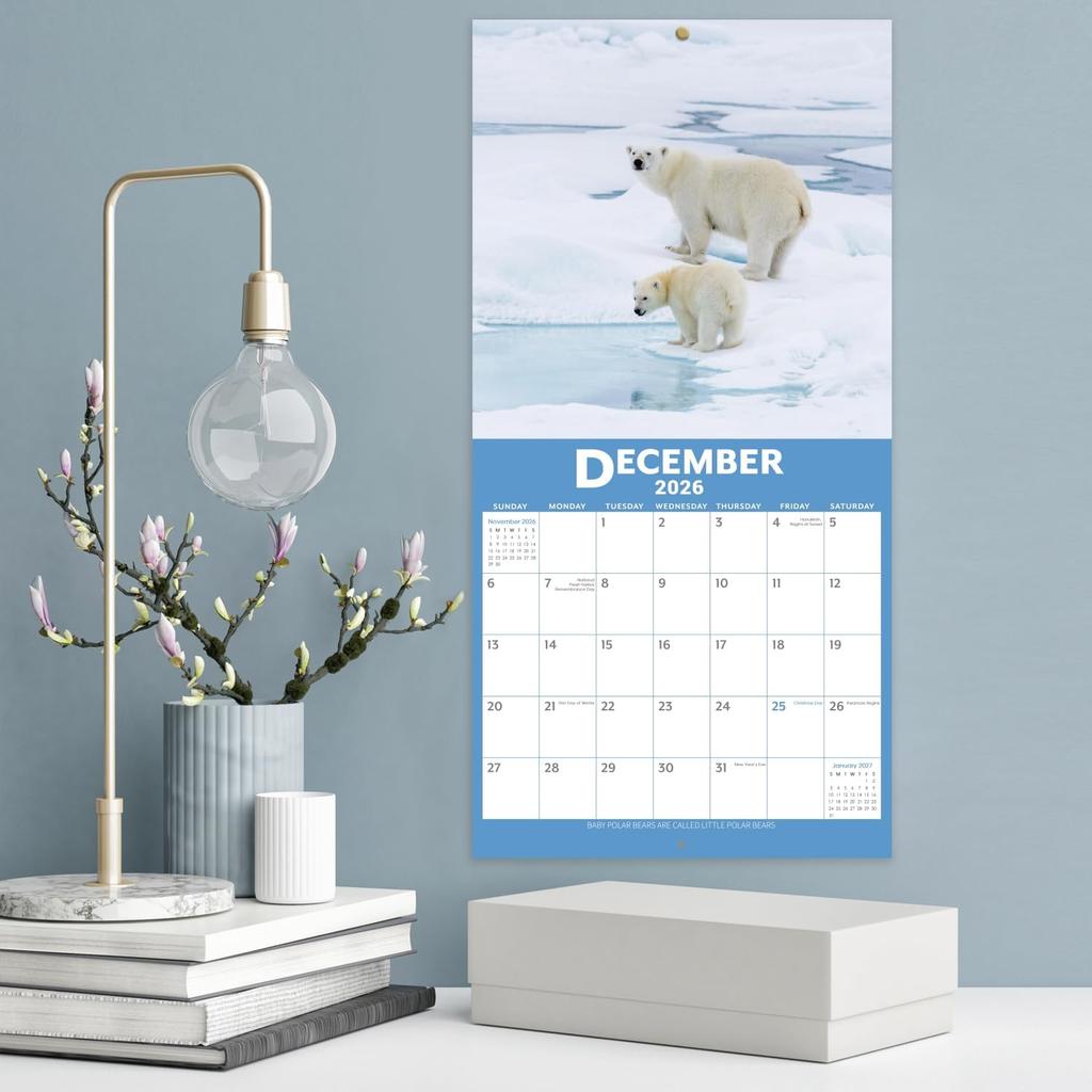 2026 Calendar - 12 Month Baby Animals Wall Calendar 2026 from January 2026 - December 2026, 12 x 12 inches, Thick & Sturdy Paper, 12" x 24" (Open),