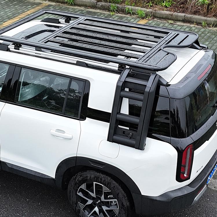Aluminum Roof Platform with Foldable Ladder for Ford Explorer/Edge/Territory