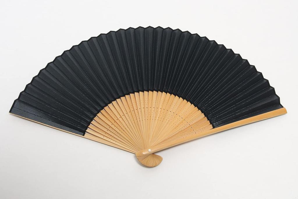 handcrafted by a Kyoto with fan case and paper box [Hasegawa] Men's Kyoto-style fan, artisan, (wave pattern, black)