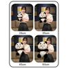 Dinosaur Transformed Bear Plush Doll Bear Bear Turn Into Panda Stuffed Toys  Birthday Gift