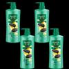 Hazeline Black Shine Nourishing Shampoo