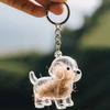 Golden Retriever Puppy Keychain Charm: Cute Transparent Storage Pendant for Backpacks & Bags
