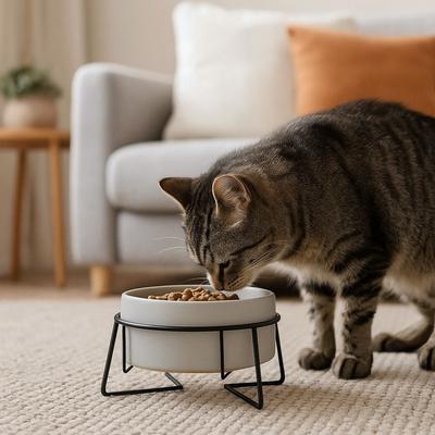 Katzen – Näpfe & Tränken für Katzen