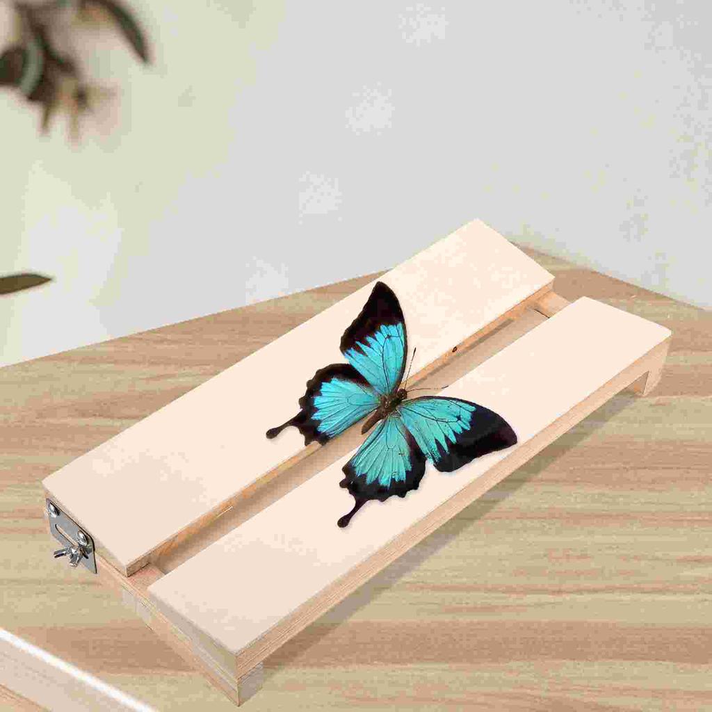 Butterfly Wings Display Board Pinning Experiment Tool Wooden Specimen Insects Pocket Child