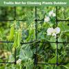 Elastic Trellis Net for Grow Tent Reusable Plant Support Net with 4 Anti-Rust Hooks for Vegetables & Flowers