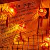 Battery USB Powered Red Lantern String Light LED Fairy Lights Chinese New Year Lantern  New Year