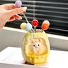 1 Set of Stainless Steel Household Kitchen Dessert Cake Fruit Sign Fruit Fork Storage Jar Set Fruit Fork Suitable for Weddings, Banquets, Gifts