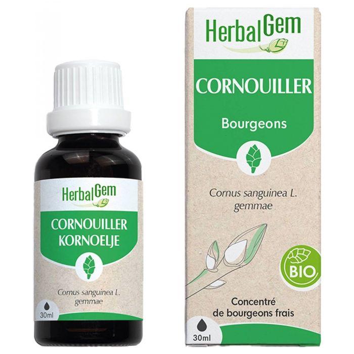 Herbalgem Macérat Concentré Cornouiller Bio 30ml
