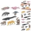 Crocodile Dolphin South American Animal Model Set Static Figurine For Collectors And Decor