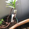 Plant Branches Bender Training Clips Garden Stem Trainer Clips 270 Degree Adjustable Planter Holder For Low Stress Training Tool