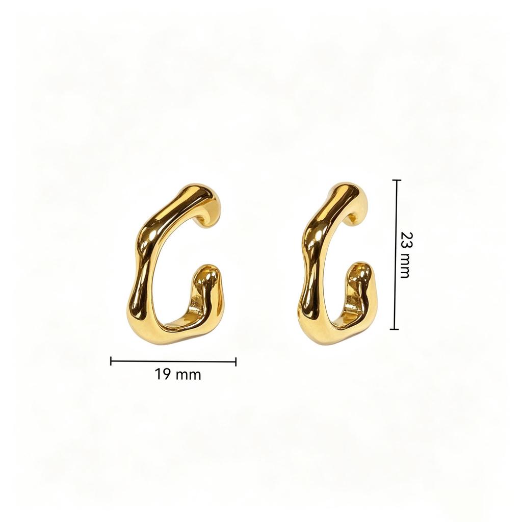 Irregular Shape Gold Stainless Steel Earrings - Niche High-End French Fashion Jewelry