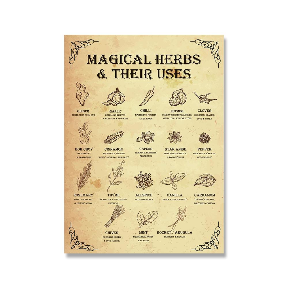 

Волшебные травы и их использование Ведьминский Холст Плакат Колдовство Кухня Принт Живопись Винтажные Художественные Фотографии Аптечный Настенный Декор 21x30cm No Framed