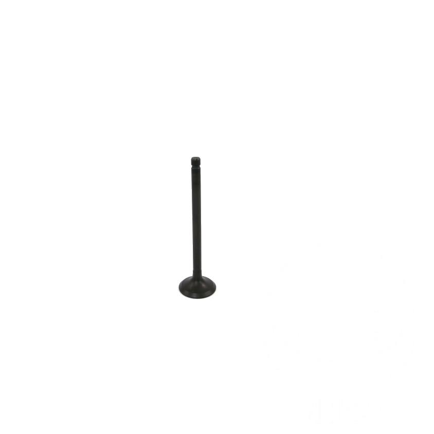 JMP intake valve