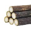 Matatabi Cat Chewing Stick - Teeth Cleaning, Self-Entertainment, Durable Decompression Toy