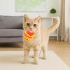 High Elastic Dog Elastic Ball Toy Colorful Dog Tooth Cleaning Toy Pet Chewing Toy  Training
