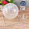 Plug-in Gym Ball Fitness Toy Silent Hamster Wheel Chinchilla Small Pet Run About