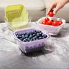 Mini Double-layer Vegetable Washing Basin, Draining Basket, Kitchen Household Plastic Fruit Washing Plate, Living Room Vegetable Basket