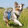 Lekdichte Opvouwbare Hond Waterfles Afneembare Huisdier Drinkbak Huisdier Voedseldispenser Kamperen
