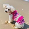 Pet Dog Apparel: Camisole Lace Printed Dress for Daily Wear & Outdoor Photoshoots;Cute Small Dog Outdoor Going-Out Dresses - Summer Outfit